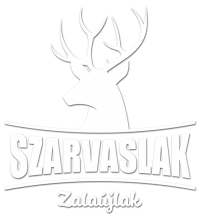 Szarvaslak, Zalaújlak